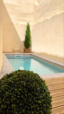 a swimming pool with a potted plant in a building at Au pied de la Cité Médiévale, piscine, vue extraordinaire, gîte La Trivala à Carcassonne in Carcassonne