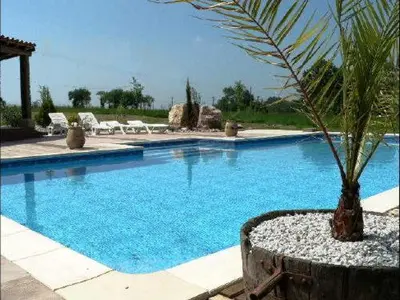 a large swimming pool with a palm tree next to it at La Terrasse in Sorèze