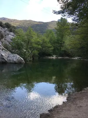 a body of water with trees and a mountain at Le Sommet in Paziols