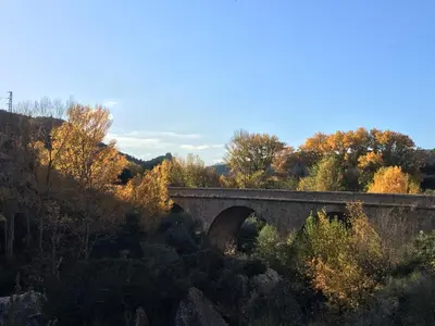a bridge in the middle of a forest with trees at Le Sommet in Paziols