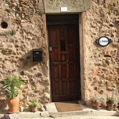 a wooden door in a stone building with potted plants at Le Sommet in Paziols