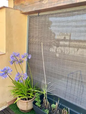 a window with some purple flowers and a screen at Trésors de la Cathédrale, Maison de Ville sur 4 niveaux in Narbonne