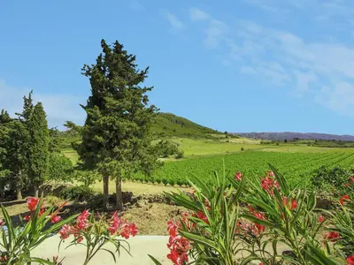 a tree in the middle of a field with flowers at Cozy Escape in Villesèque in Villesèque-des-Corbières
