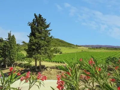 a tree in the middle of a field with flowers at Cozy Escape in Villesèque in Villesèque-des-Corbières