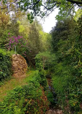 a path through a forest with flowers and trees at Beautiful studio surrounded by nature in Lanet