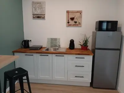 a kitchen with a sink and a refrigerator at La Villa Claudia Jardin et Spa in Pennautier