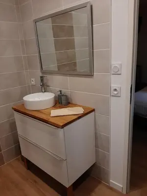 a bathroom with a sink and a mirror at La Villa Claudia Jardin et Spa in Pennautier