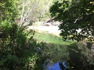 a river with green water and trees on the side at Moulin de la Buade in Termes