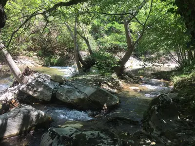 a stream of water with rocks and trees at Moulin de la Buade in Termes