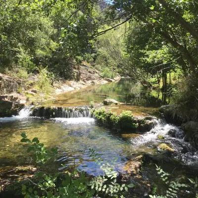 a creek with a waterfall in a forest at Moulin de la Buade in Termes