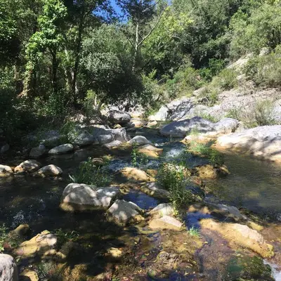 a stream of water with rocks and trees at Moulin de la Buade in Termes