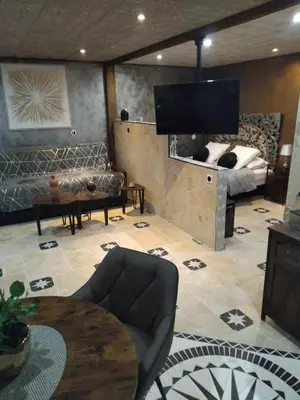 a living room with a tv and a couch and a bed at Drissia&Othman Atipik in Carcassonne