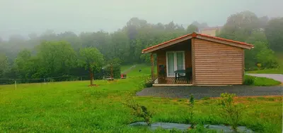 a small wooden cabin in a grassy field at LES CHALETS D HERMINE in Montredon-Labessonnié