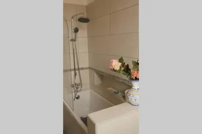 a bathroom with a vase of flowers on top of a toilet at Appartement Narada à Limoux in Limoux