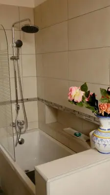 a bathroom with a shower and a vase with flowers in it at Appartement Narada à Limoux in Limoux