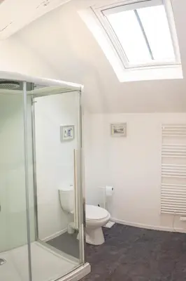 a bathroom with a toilet and a skylight at Le Gite des Jardins de Mazamet in Mazamet