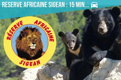 a bear and a lion and a baby bear on rocks at Le Cosy Narbonnais in Narbonne