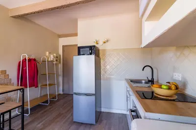 a kitchen with a refrigerator and a sink at AU PIED Du Grand Bassin in Castelnaudary