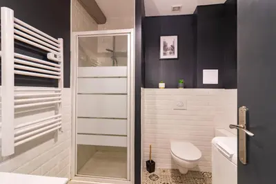 a bathroom with a toilet and a glass shower at LE COSMO Du Grand Bassin Avec Terrasse in Castelnaudary