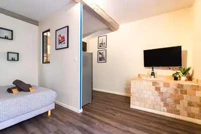 a living room with a bed and a flat screen tv at LE COSMO Du Grand Bassin Avec Terrasse in Castelnaudary
