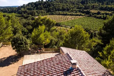 an overhead view of a roof of a house with a vineyard at L'Arbre à soleil in Aigues-Vives