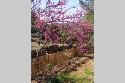 a fence with pink flowers and cows in a field at L'Arbre à soleil in Aigues-Vives