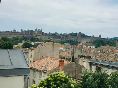 a view of a city with a castle in the background at DOLCE VITA in Carcassonne