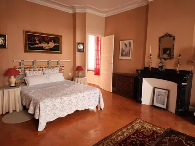 a bedroom with a large bed and a fireplace at Les Volets Bleus in Sallèles-dʼAude