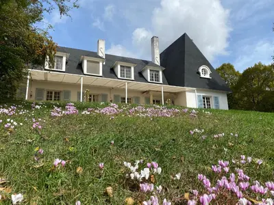 a field of flowers in front of a house at Manoir et Appartements avec piscine au Domaine de Bize Mirepoix in Mirepoix