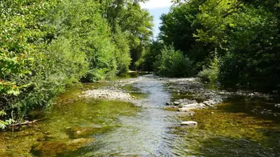 a stream of water with trees and rocks at Gîte Esprit Loft Proche de Narbonne in Mirepeisset