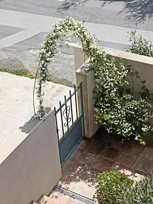 a gate with a bunch of white flowers on it at l-Ostalet in Bages