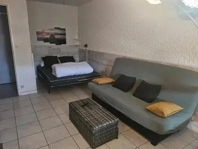 a living room with a couch and a bed at PALMA II in Port-la-Nouvelle