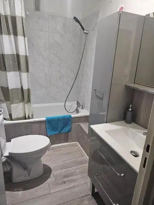 a bathroom with a toilet and a sink and a shower at PALMA II in Port-la-Nouvelle
