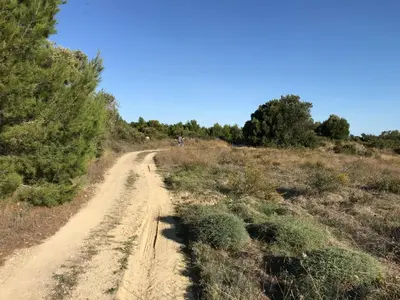 a dirt road in the middle of a field with trees at Parenthèse au bord de l’étang in Bages