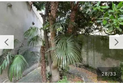 a palm tree next to a wall with two arrows at Coup de cœur 4 étoiles en hyper centre, gare immédiate et canal du midi à 2 pas in Castelnaudary