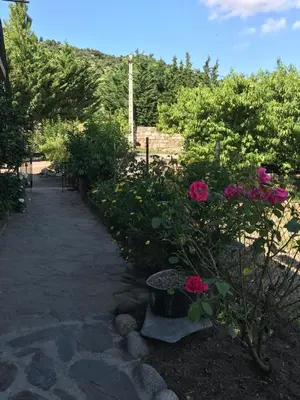 a garden with pink flowers and a pathway at Els Pirineus in Molitg les Bains