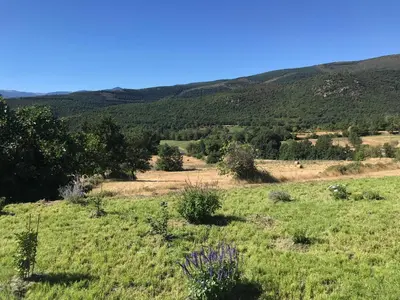 a field of grass with mountains in the background at Els Pirineus in Molitg les Bains