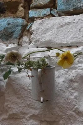 a potted plant with a yellow flower in it at Maison Mômes in Bize-Minervois