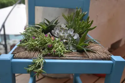 a blue chair with plants on top of it at Maison Mômes in Bize-Minervois
