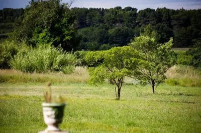 a vase in the middle of a field with two trees at Maison Saraphina in Cruzy