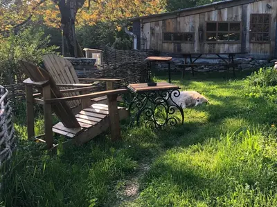 a dog laying in the grass next to a table and chairs at Gîte Terra Bosca in Cambounès
