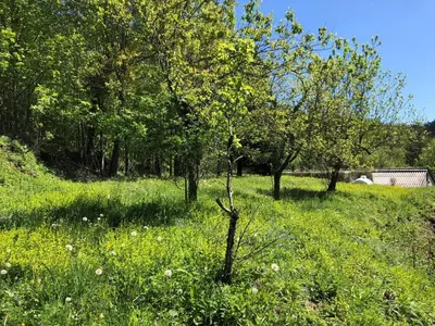 a field of green grass with trees and bushes at Gîte Terra Bosca in Cambounès