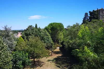 an overhead view of a forest of trees at Ruby - Gîte 2 chambres dans vieux prieuré près de Carcassonne in Sainte-Eulalie