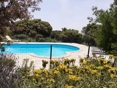 a swimming pool with yellow flowers in front of it at Tiny House Belleraze in Saint-Jean-de-Minervois
