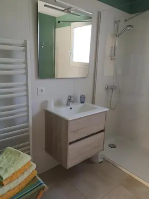 a bathroom with a sink and a mirror and a shower at Chambre d'hotes CHEVREFEUILLE in Molitg les Bains