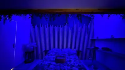 a dark room with a bed in a blue room at le joyau de la cite in Carcassonne