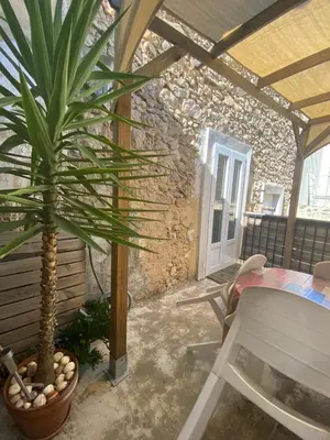 a palm tree in a pot on a patio at la Porte bleue in Capestang