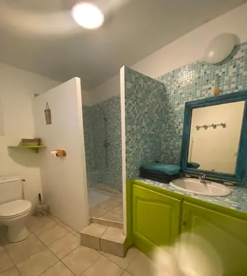 a bathroom with a green sink and a shower at la Porte bleue in Capestang