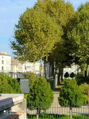 a view of a street with trees and buildings at Le Selamat, Logis XXL au calme avec Terrasse in Carcassonne