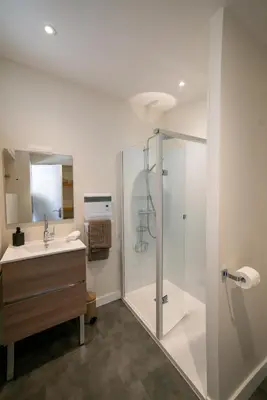 a bathroom with a shower and a sink at La Maison des Vendangeurs en Ville in Narbonne